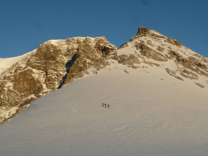 Blick zum Ortler